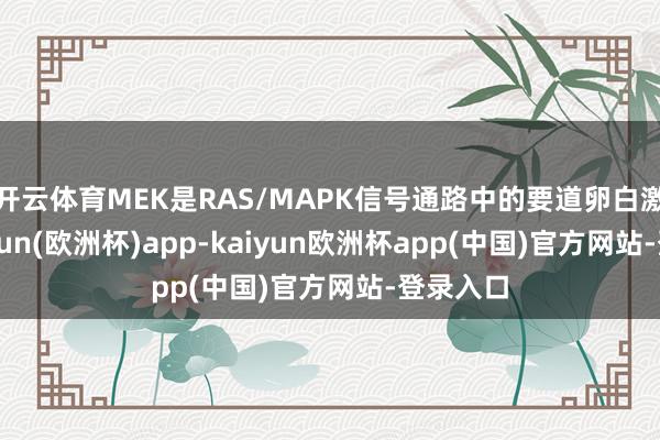 开云体育MEK是RAS/MAPK信号通路中的要道卵白激酶-kaiyun(欧洲杯)app-kaiyun欧洲杯app(中国)官方网站-登录入口